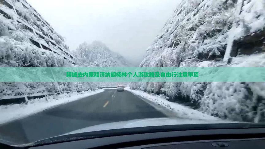 聊城去内蒙额济纳胡杨林个人游攻略及自由行注意事项