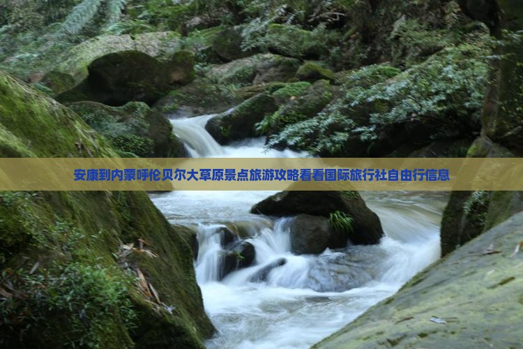 安康到内蒙呼伦贝尔大草原景点旅游攻略看看国际旅行社自由行信息