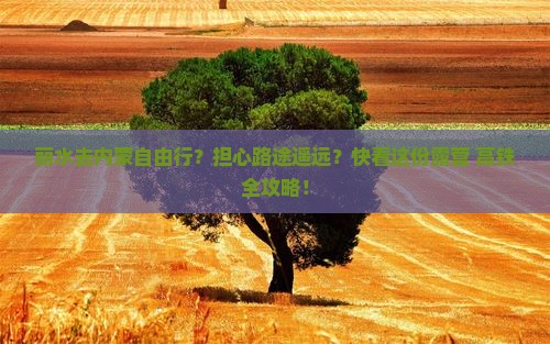 丽水去内蒙自由行？担心路途遥远？快看这份露营+高铁全攻略！
