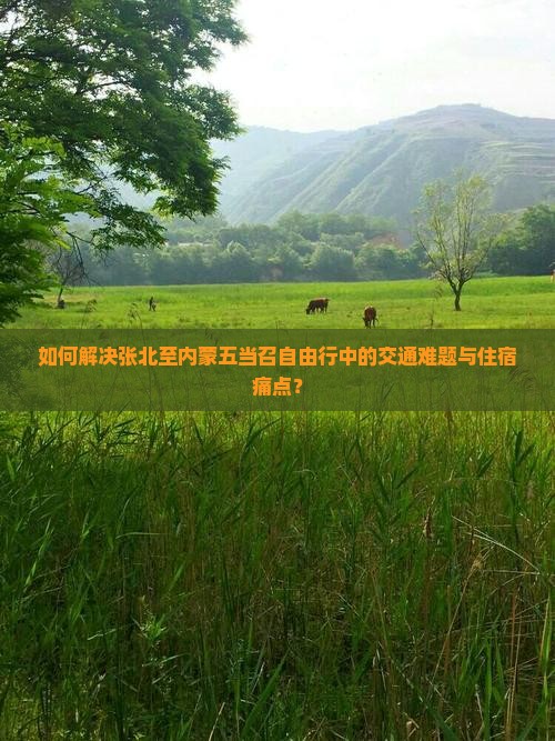如何解决张北至内蒙五当召自由行中的交通难题与住宿痛点？