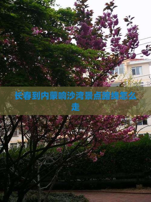 长春到内蒙响沙湾景点路线怎么走