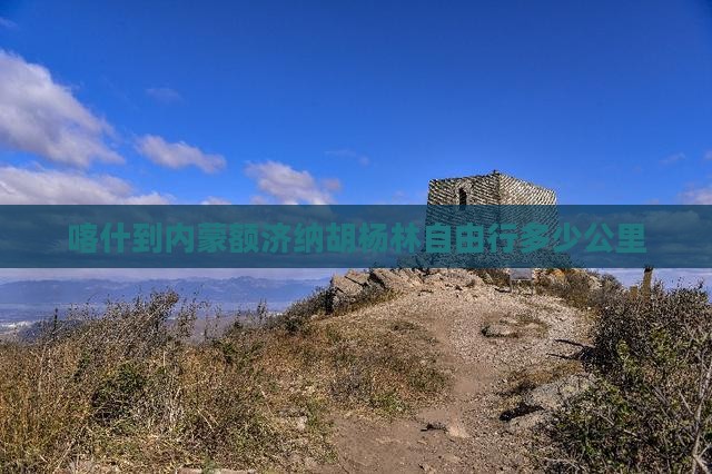 喀什到内蒙额济纳胡杨林自由行多少公里