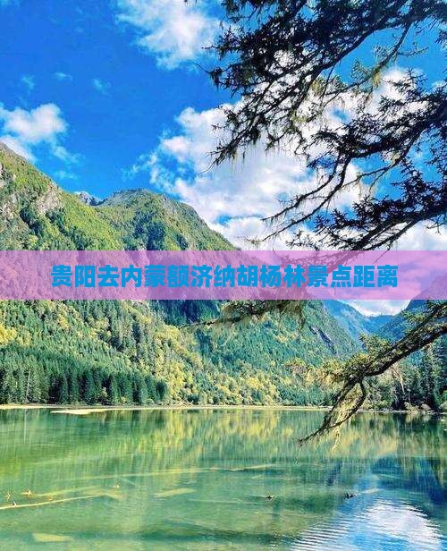 贵阳去内蒙额济纳胡杨林景点距离