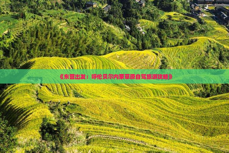 《东营出发：呼伦贝尔内蒙草原自驾旅游攻略》