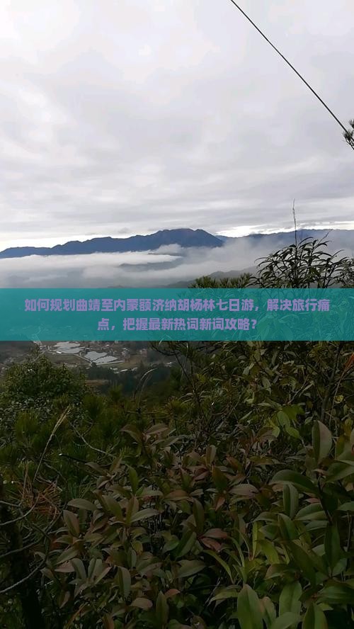 如何规划曲靖至内蒙额济纳胡杨林七日游，解决旅行痛点，把握最新热词新词攻略？