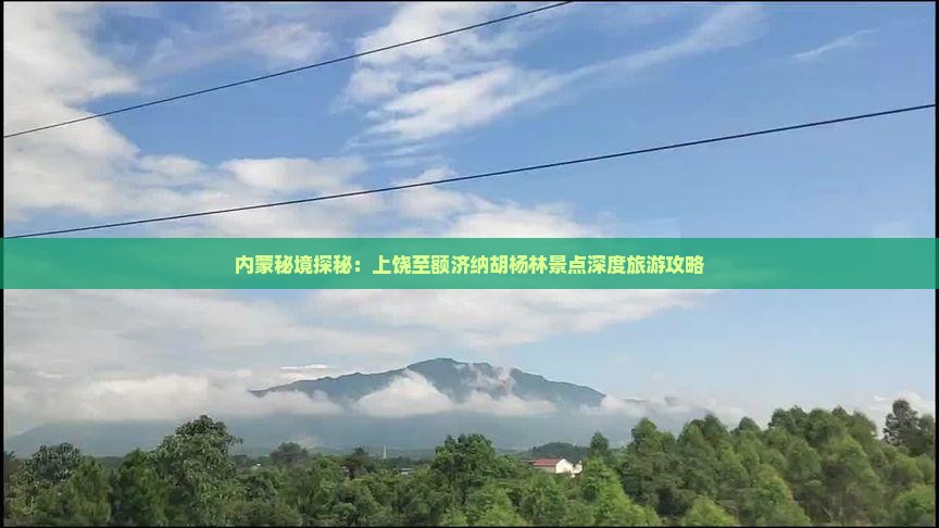 内蒙秘境探秘：上饶至额济纳胡杨林景点深度旅游攻略