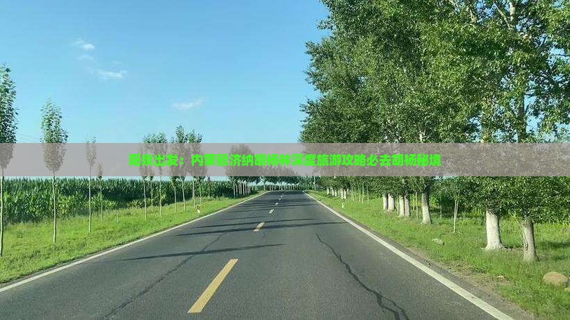 阳泉出发：内蒙额济纳胡杨林深度旅游攻略必去胡杨秘境