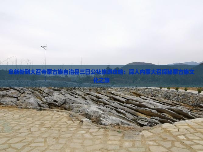 阜新新到大召寺蒙古族自治县三日公社旅游攻略：深入内蒙大召探秘蒙古族文化之旅