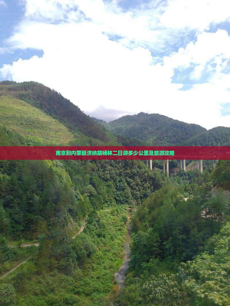 南京到内蒙额济纳胡杨林二日游多少公里及旅游攻略