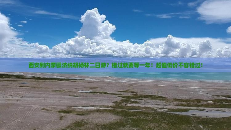 西安到内蒙额济纳胡杨林二日游？错过就要等一年！超值低价不容错过！