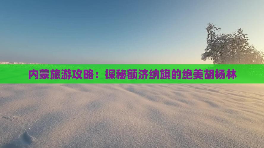 内蒙旅游攻略：探秘额济纳旗的绝美胡杨林