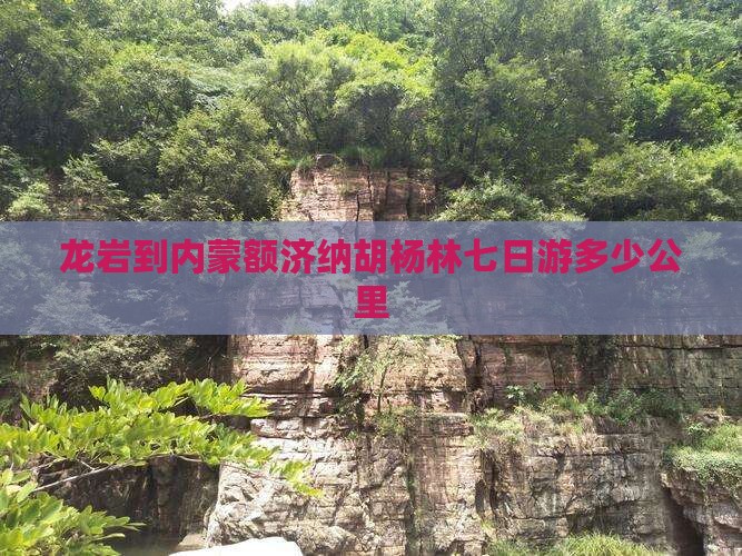 龙岩到内蒙额济纳胡杨林七日游多少公里
