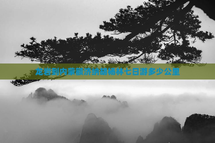 龙岩到内蒙额济纳胡杨林七日游多少公里