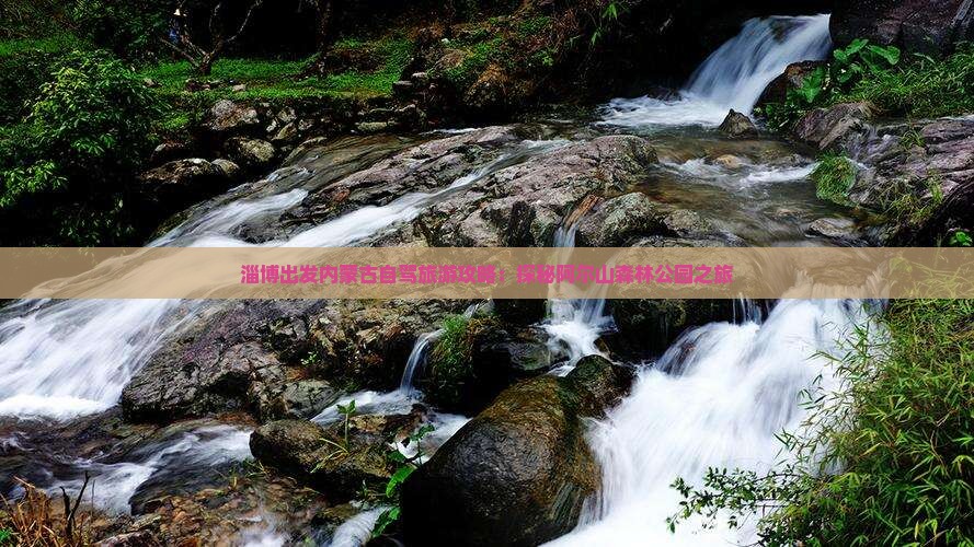 淄博出发内蒙古自驾旅游攻略：探秘阿尔山森林公园之旅