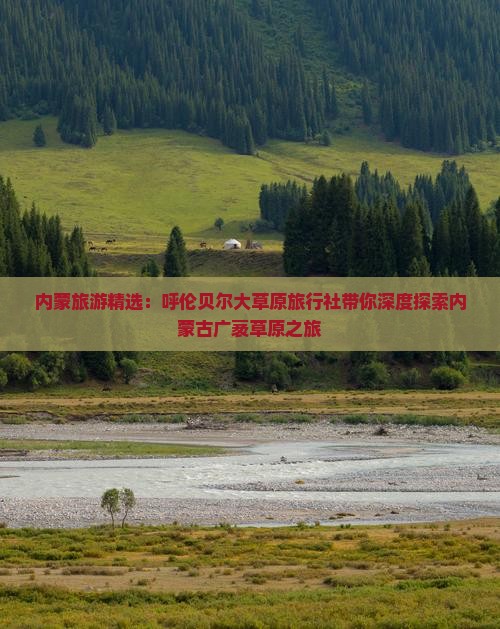 内蒙旅游精选：呼伦贝尔大草原旅行社带你深度探索内蒙古广袤草原之旅