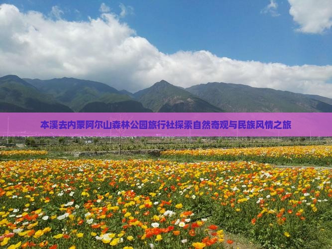 本溪去内蒙阿尔山森林公园旅行社探索自然奇观与民族风情之旅