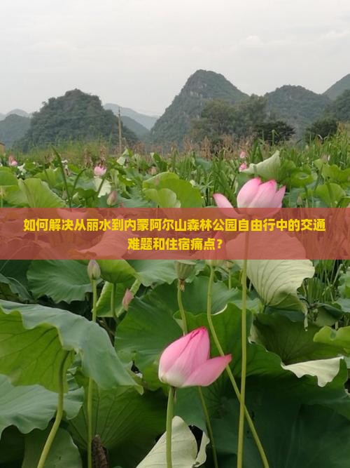 如何解决从丽水到内蒙阿尔山森林公园自由行中的交通难题和住宿痛点？