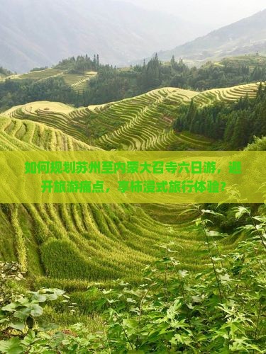 如何规划苏州至内蒙大召寺六日游，避开旅游痛点，享柿浸式旅行体验？