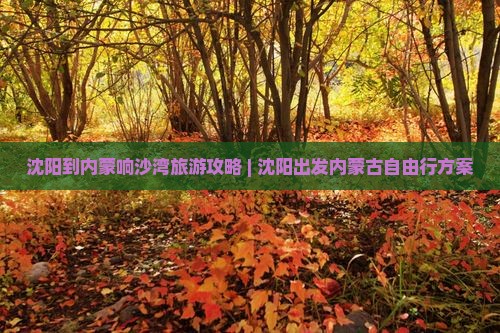 沈阳到内蒙响沙湾旅游攻略 | 沈阳出发内蒙古自由行方案