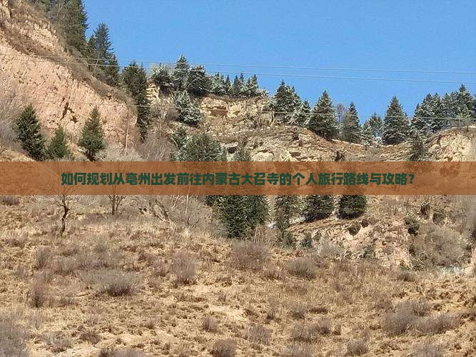 如何规划从亳州出发前往内蒙古大召寺的个人旅行路线与攻略？