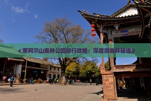 ≮蒙阿尔山森林公园旅行攻略：深度游森林秘境》