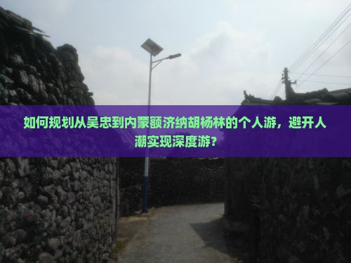 如何规划从吴忠到内蒙额济纳胡杨林的个人游，避开人潮实现深度游？
