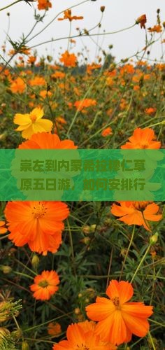 崇左到内蒙希拉穆仁草原五日游，如何安排行程？有哪些必看景点？需要准备什么物品？