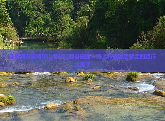 成都到内蒙阿尔山森林公园自由团？背上行囊说走就走的旅行太爽了