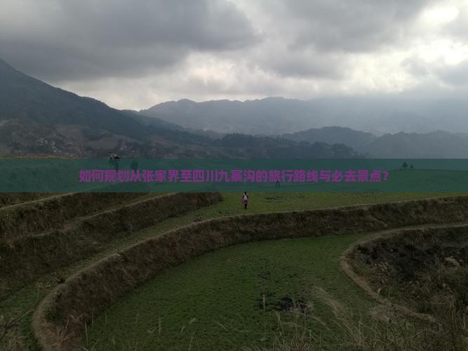 如何规划从张家界至四川九寨沟的旅行路线与必去景点？