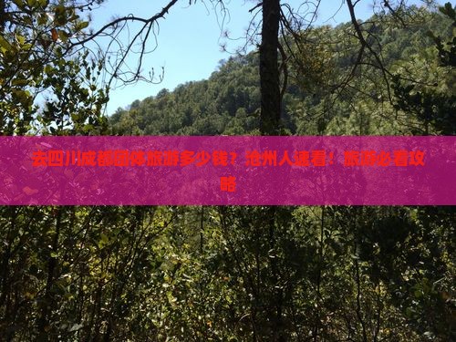 去四川成都团体旅游多少钱？沧州人速看！旅游必看攻略