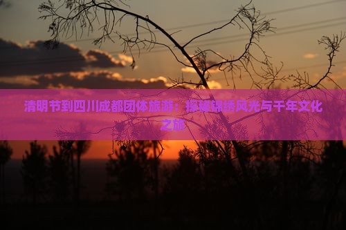 清明节到四川成都团体旅游：探秘锦绣风光与千年文化之旅