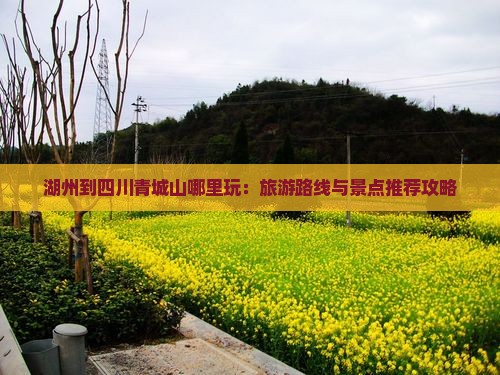湖州到四川青城山哪里玩：旅游路线与景点推荐攻略