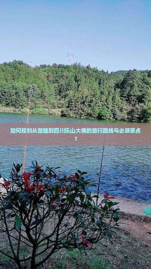 如何规划从楚雄到四川乐山大佛的旅行路线与必游景点？
