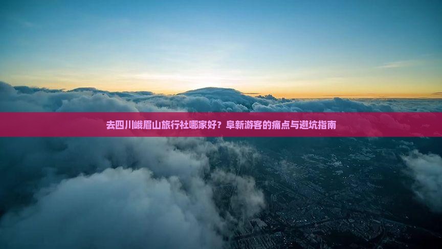 去四川峨眉山旅行社哪家好？阜新游客的痛点与避坑指南