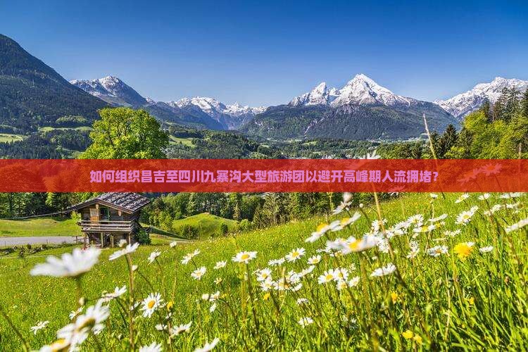 如何组织昌吉至四川九寨沟大型旅游团以避开高峰期人流拥堵？
