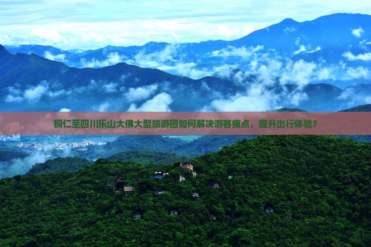 铜仁至四川乐山大佛大型旅游团如何解决游客痛点，提升出行体验？