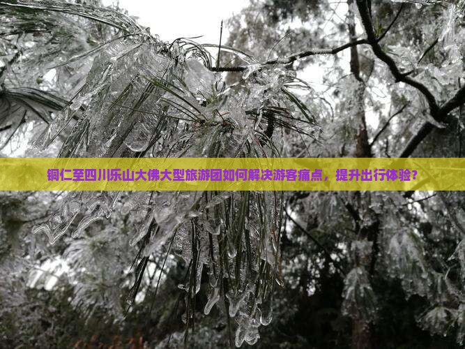 铜仁至四川乐山大佛大型旅游团如何解决游客痛点，提升出行体验？