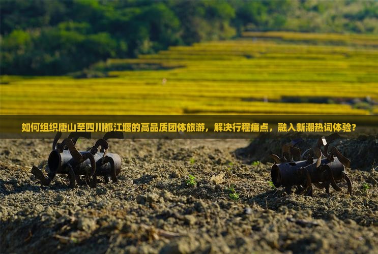 如何组织唐山至四川都江堰的高品质团体旅游，解决行程痛点，融入新潮热词体验？