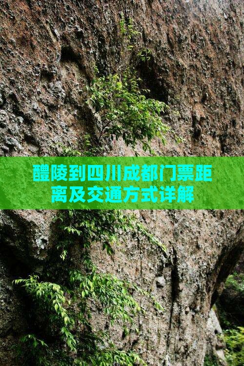 醴陵到四川成都门票距离及交通方式详解