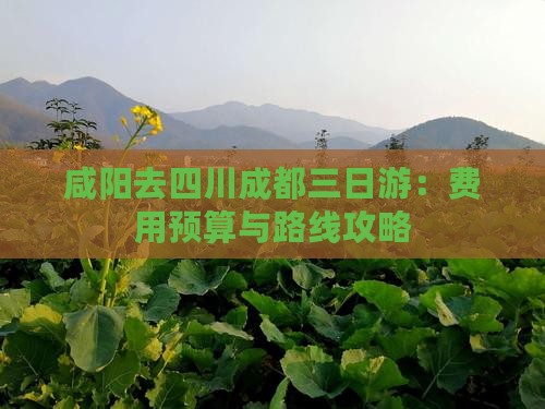 咸阳去四川成都三日游：费用预算与路线攻略