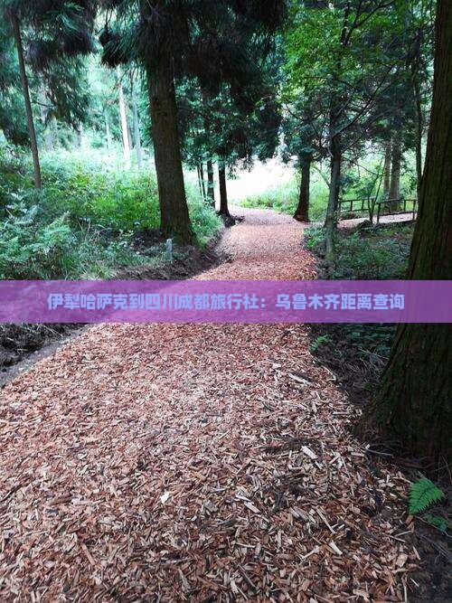 伊犁哈萨克到四川成都旅行社：乌鲁木齐距离查询