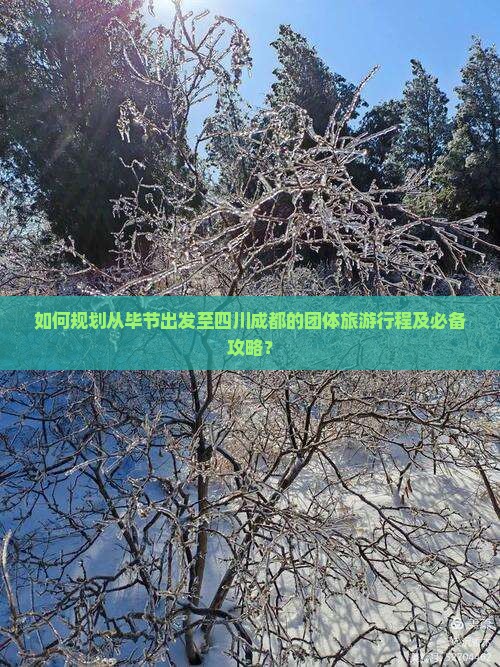 如何规划从毕节出发至四川成都的团体旅游行程及必备攻略？