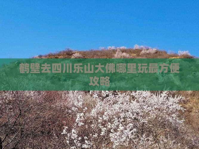 鹤壁去四川乐山大佛哪里玩最方便攻略