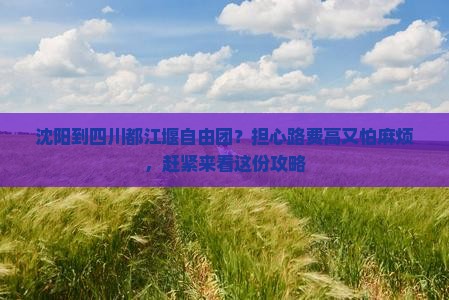 沈阳到四川都江堰自由团？担心路费高又怕麻烦，赶紧来看这份攻略