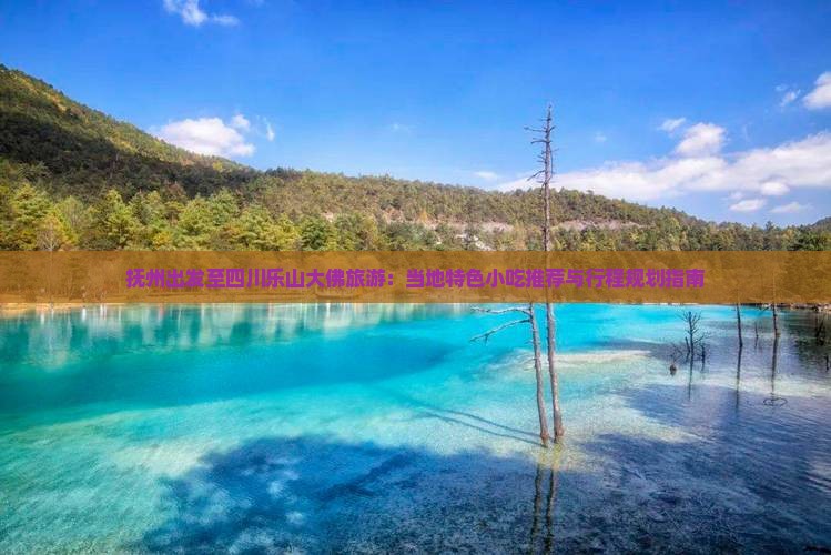 抚州出发至四川乐山大佛旅游：当地特色小吃推荐与行程规划指南