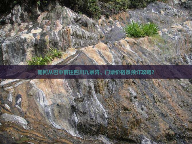 如何从巴中前往四川九寨沟、门票价格及预订攻略？