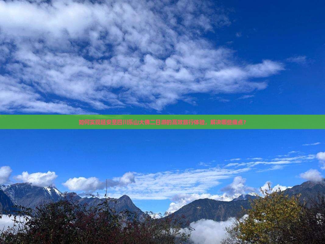 如何实现延安至四川乐山大佛二日游的高效旅行体验，解决哪些痛点？