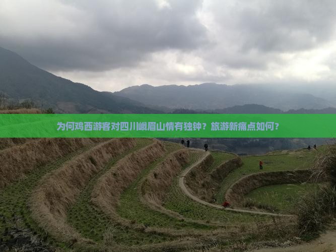 为何鸡西游客对四川峨眉山情有独钟？旅游新痛点如何？