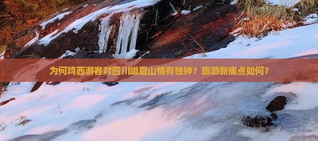 为何鸡西游客对四川峨眉山情有独钟？旅游新痛点如何？