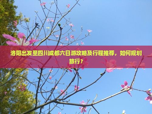 洛阳出发至四川成都六日游攻略及行程推荐，如何规划旅行？